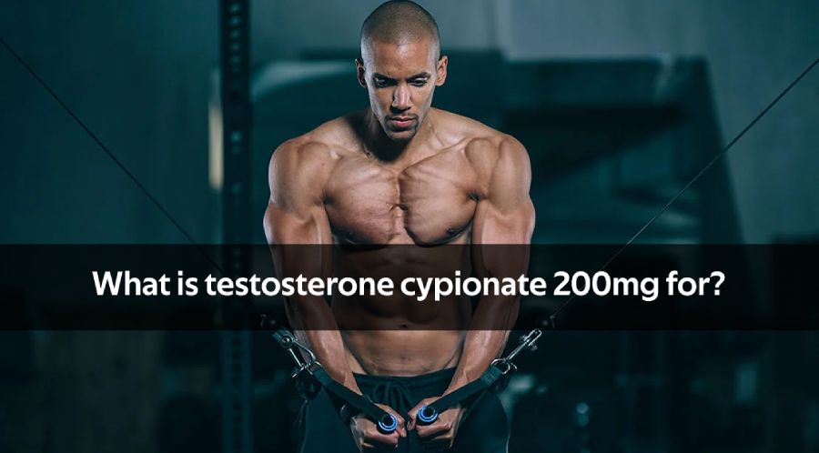 buy testosterone cypionate 200mg online